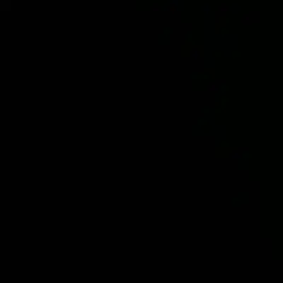 Interview_Paup_Burlinghaus.mp4