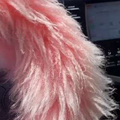 archived_stories_18034317352338501.mp4
