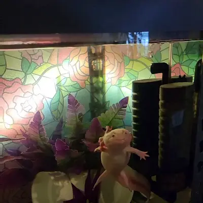 7112543822256557354.mp4