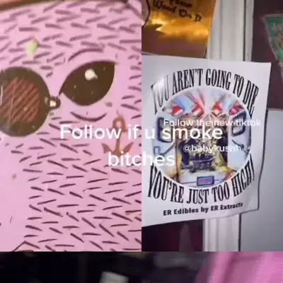 7035032188978482478.mp4