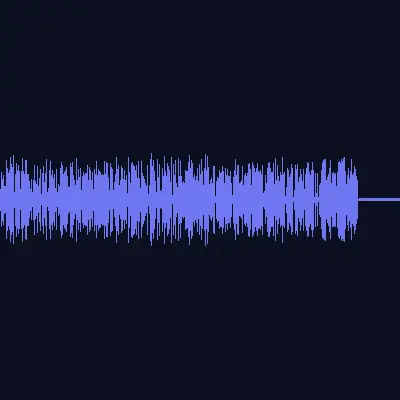 911 call.wav